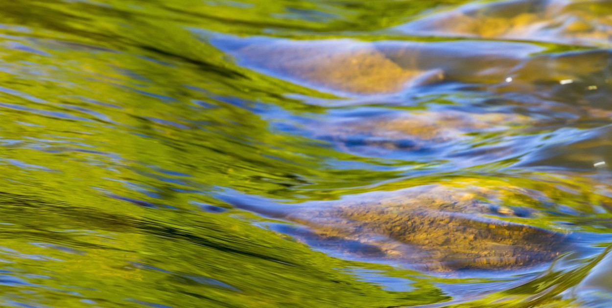 Wyciek substancji ropopochodnej do rzeki Łydyni w Ciechanowie