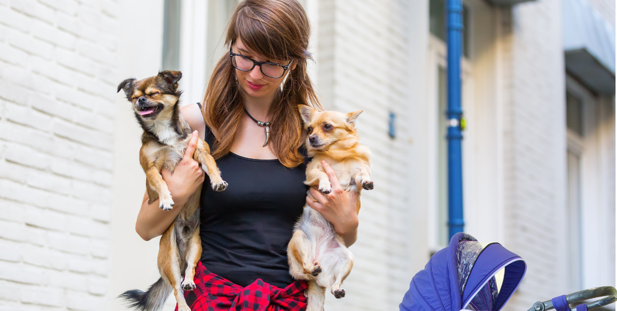 W powiecie pułtuskim rodzi się coraz mniej dzieci – co dalej?