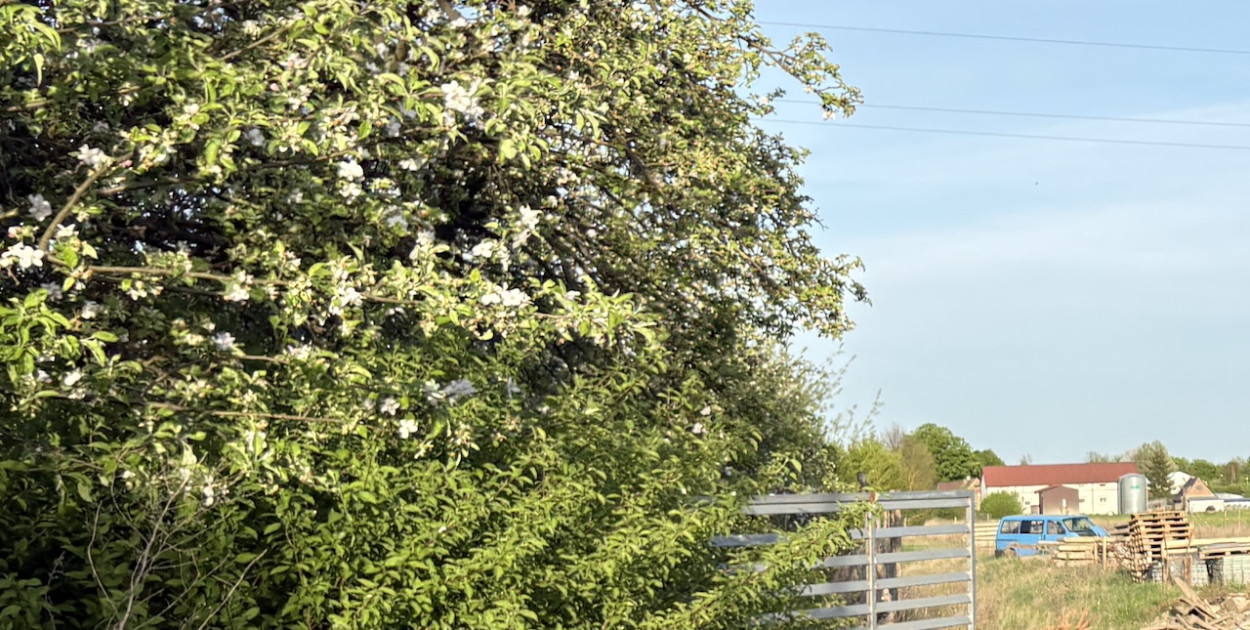 Pułtusk: Tu powstanie nowa baza Obwodu Drogowego! Zobacz gdzie!