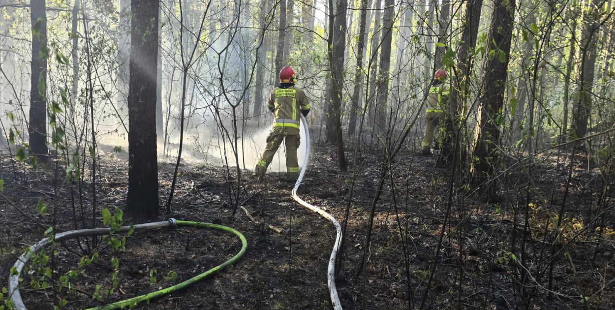 Zdjęcie: OSP Winnica