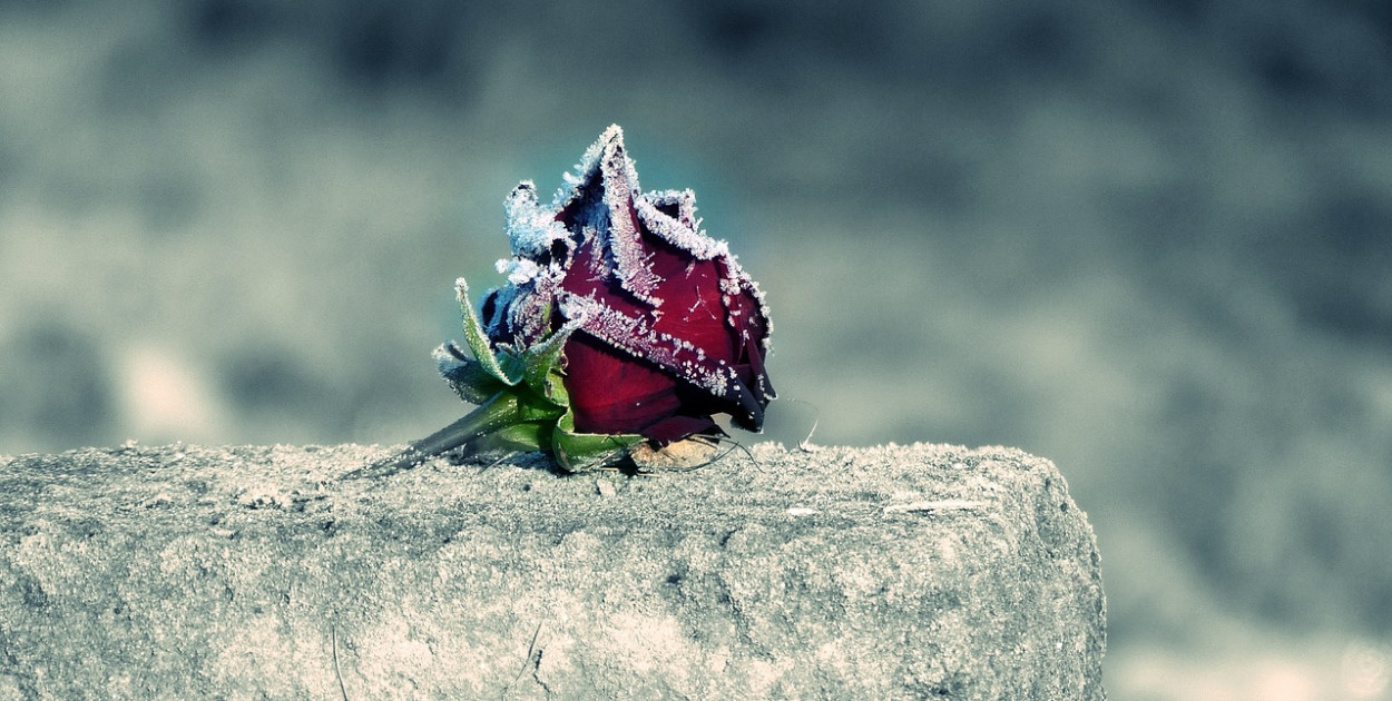 Pułtusk i okolice: pożegnaliśmy ich w kwietniu