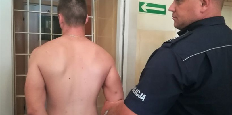 Funkcjonariusze pułtuskiej policji zatrzymali złodziei