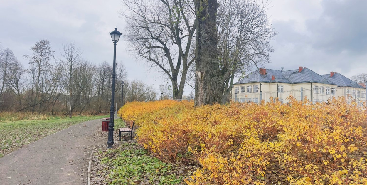 Nowy bulwar nad kanałkiem w Pułtusku będzie nosić imię ks. Jerzego Popiełuszki