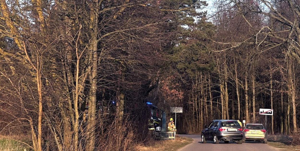 Policjanci i strażacy w akcji poszukiwawczej Katarzyny z Drwał. Obrzeża lasu i strugi wodne pod lupą.