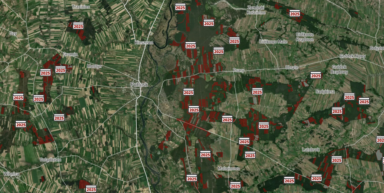 Zobacz, gdzie w powiecie pułtuskim planowane są wycinki lasów w 2025 roku