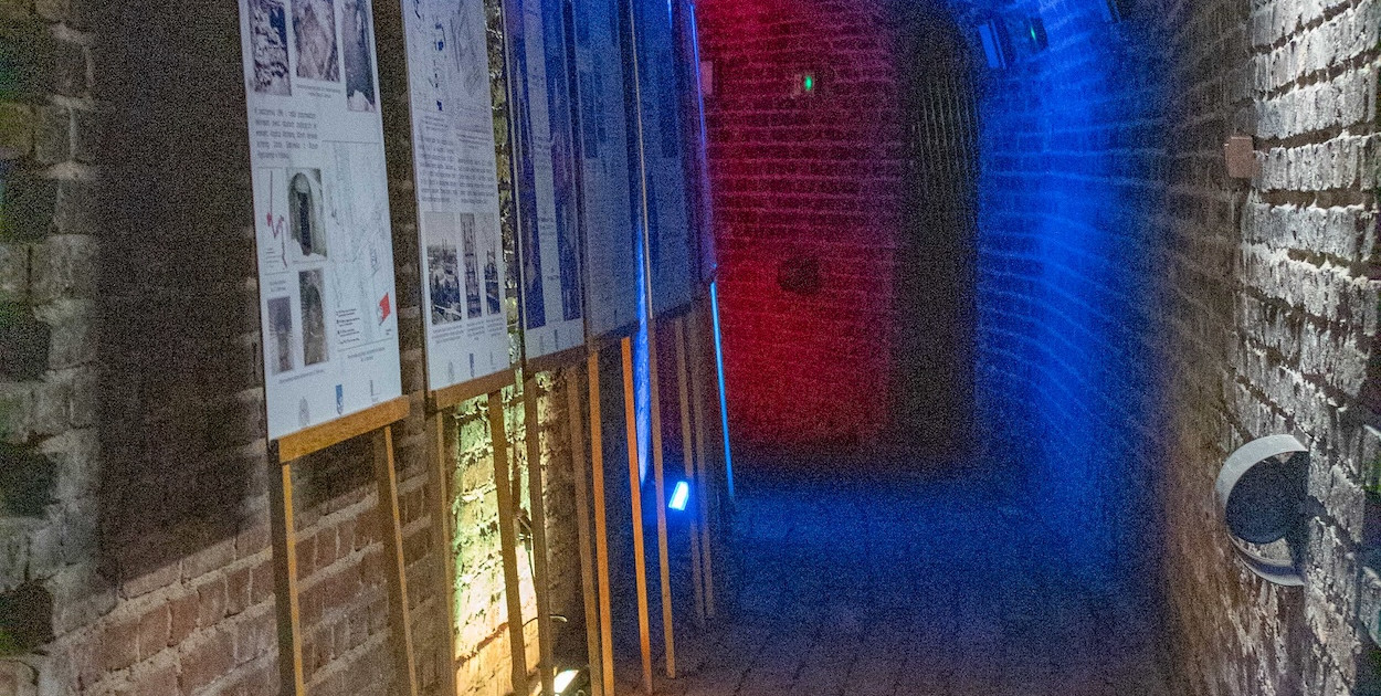 Wieczorny pokaz nietoperzy w zabytkowych piwnicach Muzeum w Pułtusku – 1 maja 2025 r.