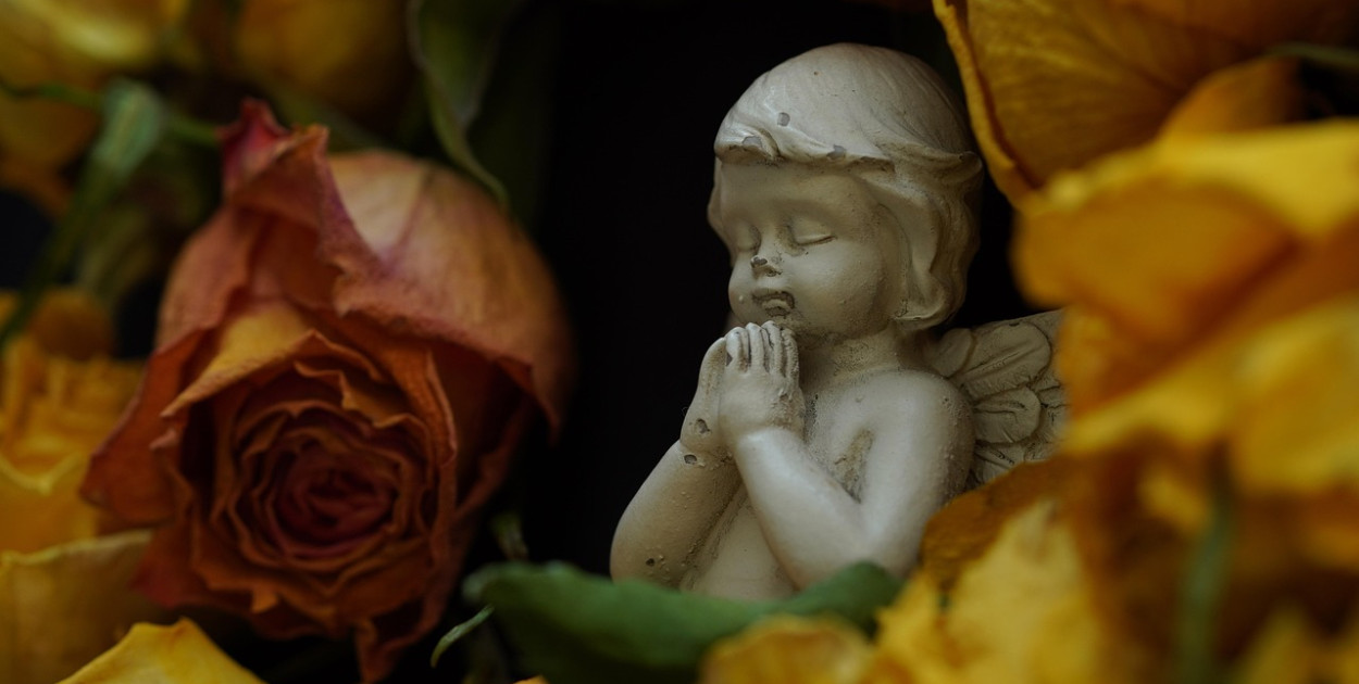 Obraz Myléne z Pixabay