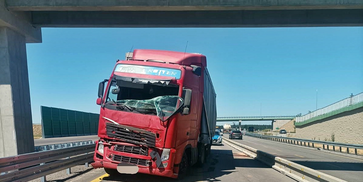 Zdjęcie z plonskwsieci.pl