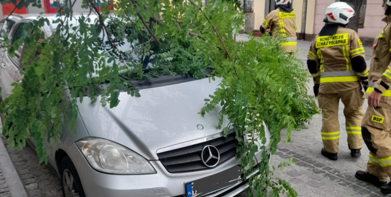 Podsumowanie interwencji służb w powiecie pułtuskim/ OSP Winnica