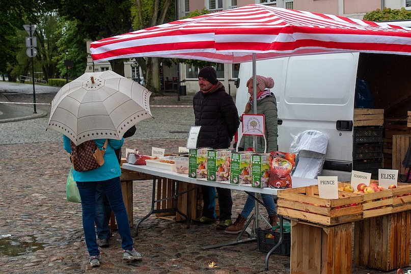 Pogoda zepsuła kwiatowy Festiwal w Pułtusku