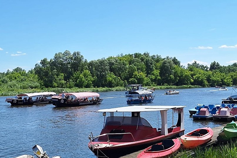 Wianki 2025 pełne atrakcji