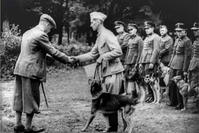 Kurs przewodników psów służbowych w 1937 r.