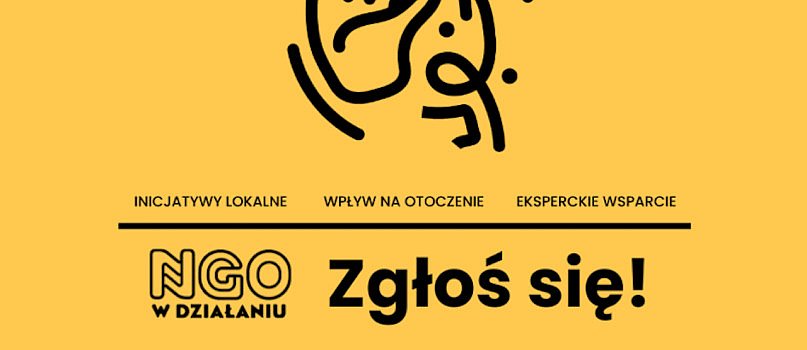 Nabór organizacji pozarządowych-648