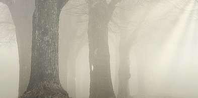 Niebezpieczna noc w Pułtusku! Smog i mgła zagrożą zdrowiu i życiu-26853