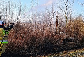 Niepokojąca seria pożarów: co się dzieje w powiecie pułtuskim?-27567