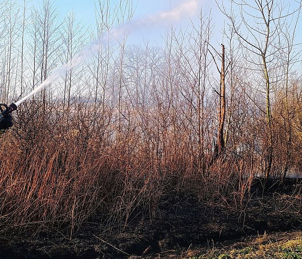 Niepokojąca seria pożarów: co się dzieje w powiecie pułtuskim?-27567