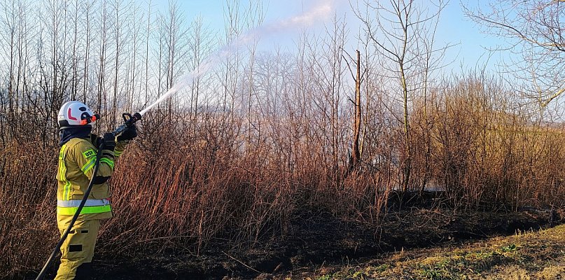 Niepokojąca seria pożarów: co się dzieje w powiecie pułtuskim? - 27567