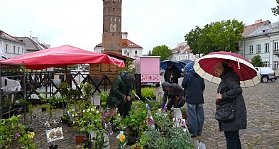 I Pułtuski Festiwal Roślin Ogrodowych za nami-29595