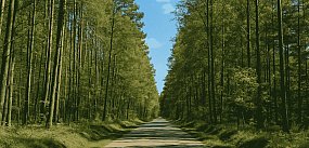 Masz to pod nosem! Dwa wyjątkowe rezerwaty