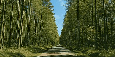 Masz to pod nosem! Dwa wyjątkowe rezerwaty w powiecie pułtuskim-29632