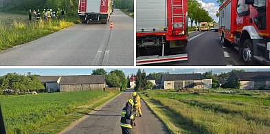 Płonące kominy i auto w ogniu! Dramatyczne sceny w powiecie pułtuskim-29693