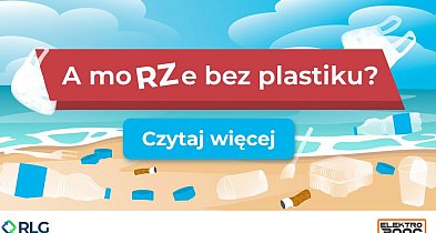 Skąd śmieci na plażach? Wyniki badań -29918