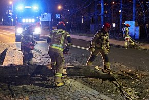 Minionej doby strażacy interweniowali 1578 razy w związku z burzami-29953