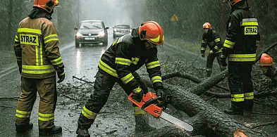 Nawałnica nad Pułtuskiem: kilkanaście interwencji i brak prądu-29965