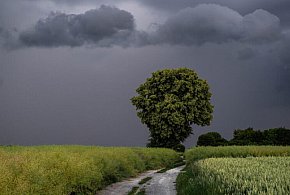 IMGW: ostrzeżenia I i II stopnia dla całego kraju przed burzami z gradem-29969