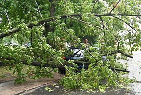 Straż Pożarna: ponad 300 zgłoszeń w związku z burzami i silnym wiatrem-29980