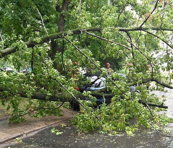 Straż Pożarna: ponad 300 zgłoszeń w związku z burzami i silnym wiatrem-29980