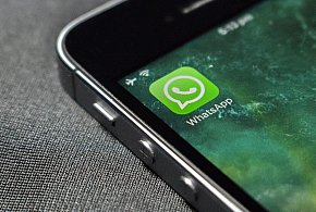 WhatsApp się zmienia. Czy aplikacja będzie płatna?-30243