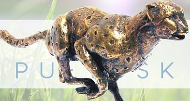Eco Pułtusk w krajowej czołówce! Takiego wyniku nikt się nie spodziewał-30299