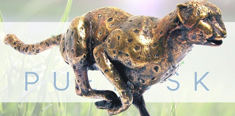 Eco Pułtusk w krajowej czołówce! Takiego wyniku nikt się nie spodziewał - 30299