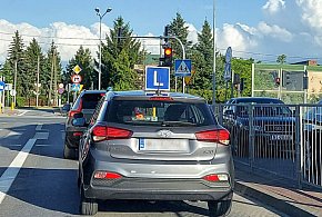 Egzamin na prawo jazdy będzie inny. Od 1 lipca nowe zasady-30336