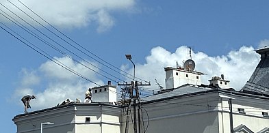Na dachu prokuratury pojawili się ludzie! Co się dzieje?-30389
