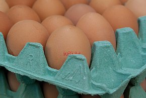 Salmonella na jajach znanej marki. Nie jedz, jeśli masz je w lodówce!-30487