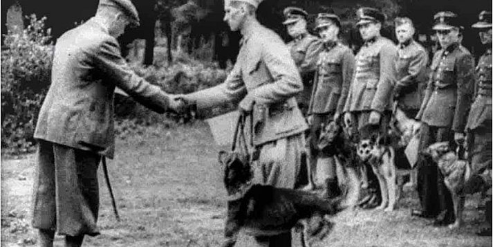 Do czego szkolono psy w Leśnictwie Gnojno w 1937 roku!?