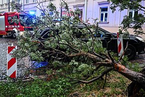Straż pożarna: 2200 interwencji w związku z burzami-30680