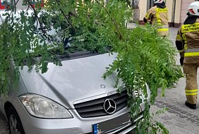 Tragiczne dni w naszym regionie. Bilans interwencji służb-30805