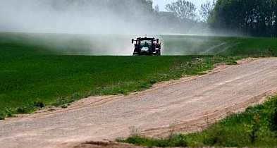 Zmniejszyło się zagrożenie upraw suszą-31007