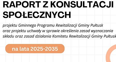 Raport z konsultacji społecznych-31015