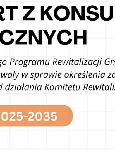 Raport z konsultacji społecznych-31015