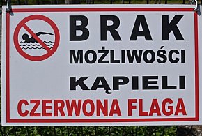 11 kąpielisk w północnej Polsce zamkniętych z powodu zakwitu sinic-31126