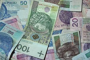 Miliony już na kontach. ZUS wskazuje, ile już wypłacił na...-31539