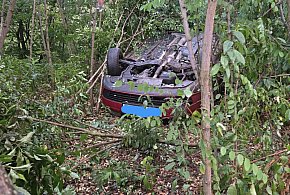 Dramatyczne sceny na drodze pod Pułtuskiem! Auto w akacjach-31703