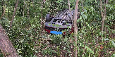 Dramatyczne sceny na drodze pod Pułtuskiem! Auto w akacjach-31703