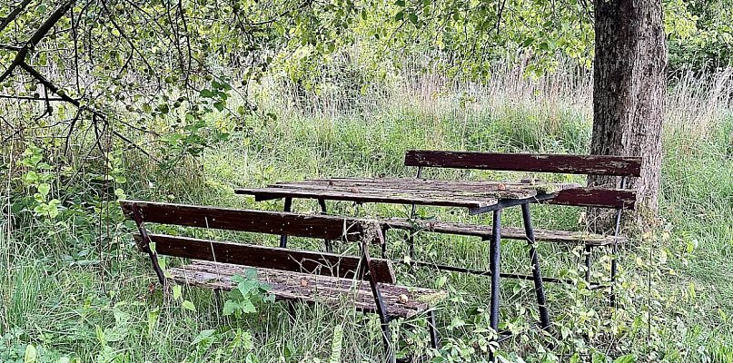 Pułtusk: 31°C pod koniec sierpnia, potem pogoda na plus - 31725