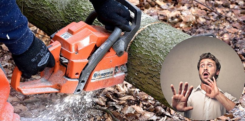 Wielki dramat w lutym, zielony raj w sierpniu – zobacz zdjęcia! - 31749
