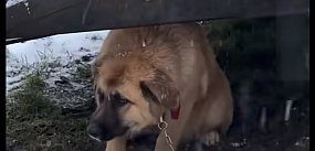 Dramatyczne odkrycie w gminie Zatory